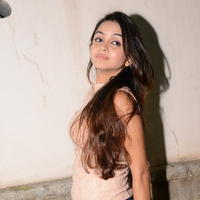 Sheena Shahabadi at Nuvve Naa Bangaram First Look Release Photos | Picture 599589